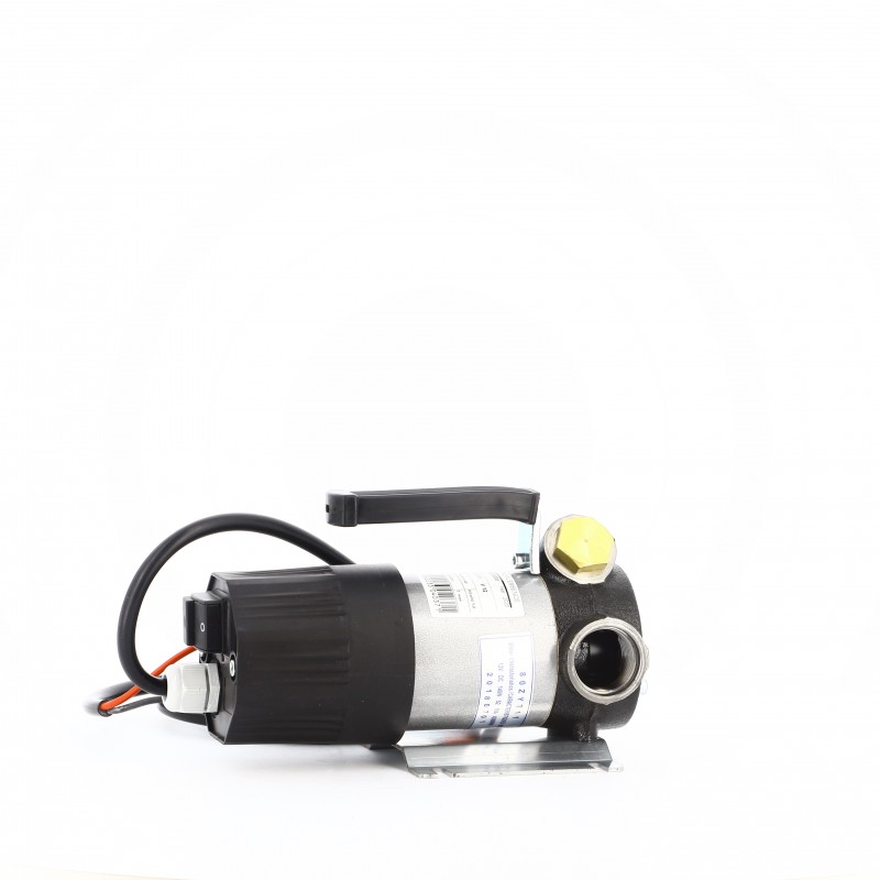 Groupe transfert élec 12V 40L/Min + Pistolet manuel Alu + Flexible