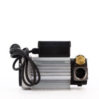 Groupe de transfert 100L/Min + Pistolet manuelle Alu + Flexible