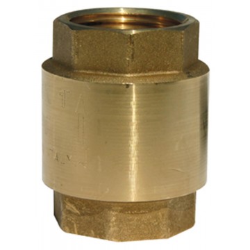 Clapet Anti-Retour 1/2" Avec Crépine - Laiton Et Acier Inoxydable Pour Pompe Jardin