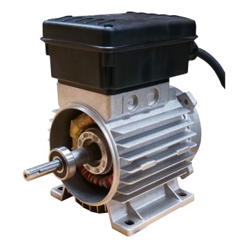Moteur pour fuel 230v 50l/m 138319
