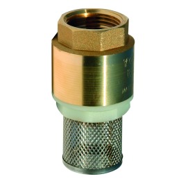 Crepine clapet laiton 1''1/2 avec crepine inox package