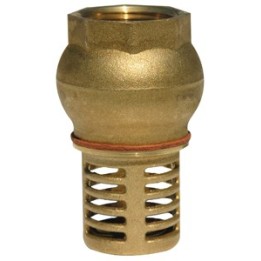 Clapet de pied + crepine laiton femelle 2''