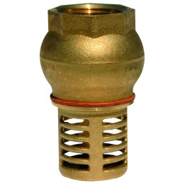 Clapet de pied + crepine laiton femelle 1''