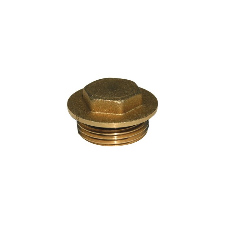 Bouchon laiton 290l male 1''